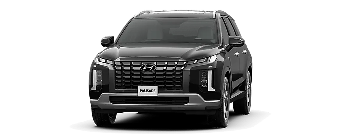 Palisade